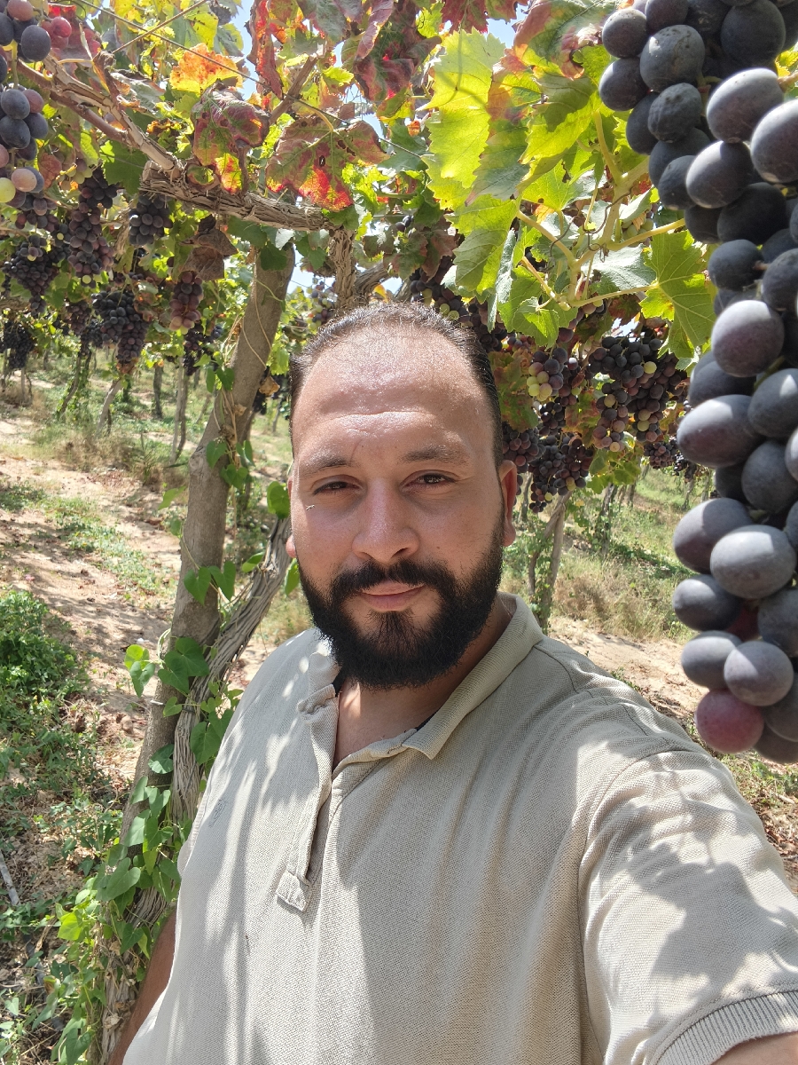 ahmed kamal mashal