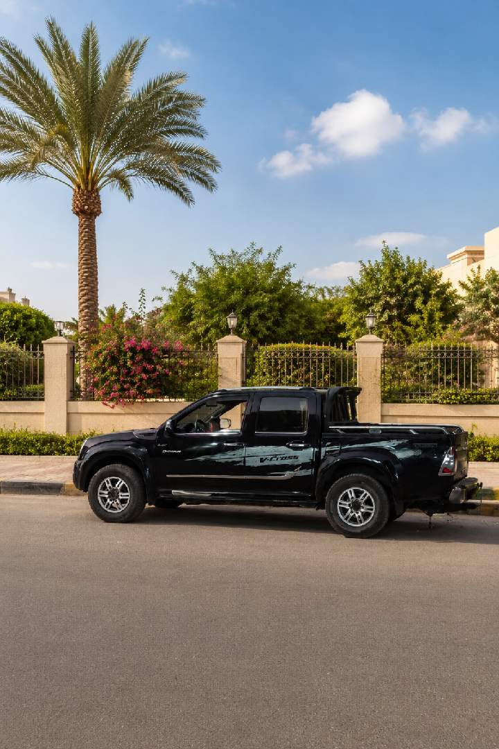 دى ماكس